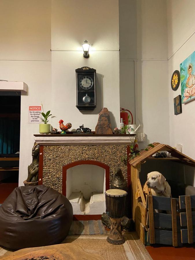 The Birdhouse Backpackers Hostel Coonoor Kültér fotó