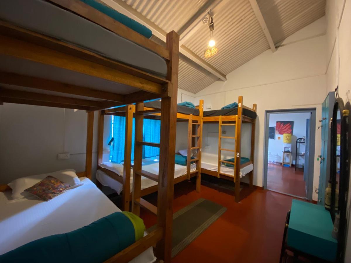 The Birdhouse Backpackers Hostel Coonoor Kültér fotó