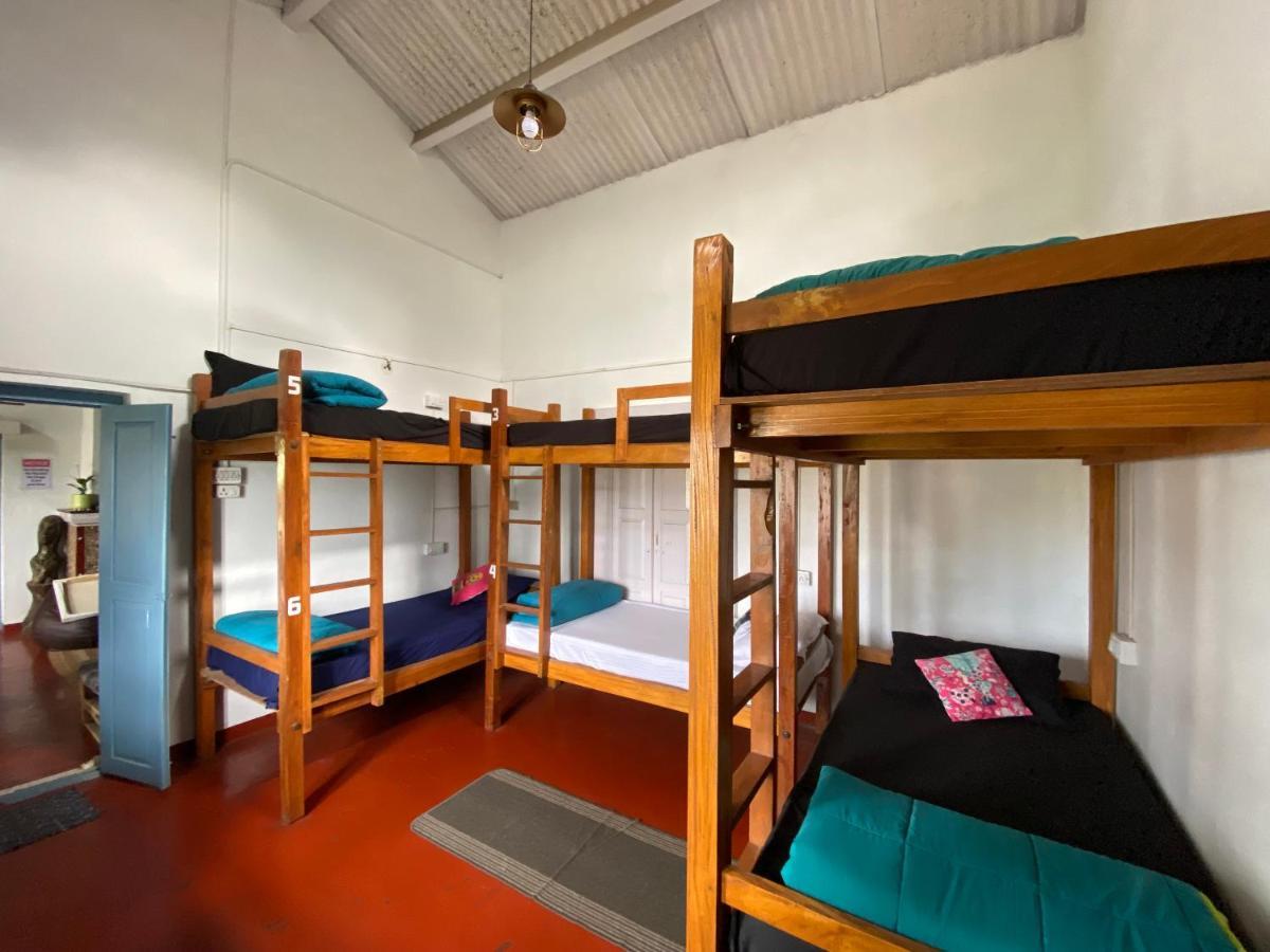 The Birdhouse Backpackers Hostel Coonoor Kültér fotó