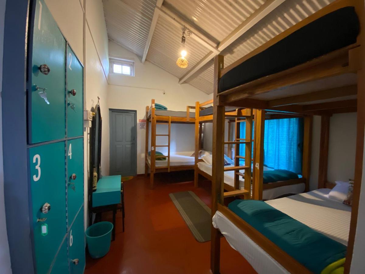 The Birdhouse Backpackers Hostel Coonoor Kültér fotó