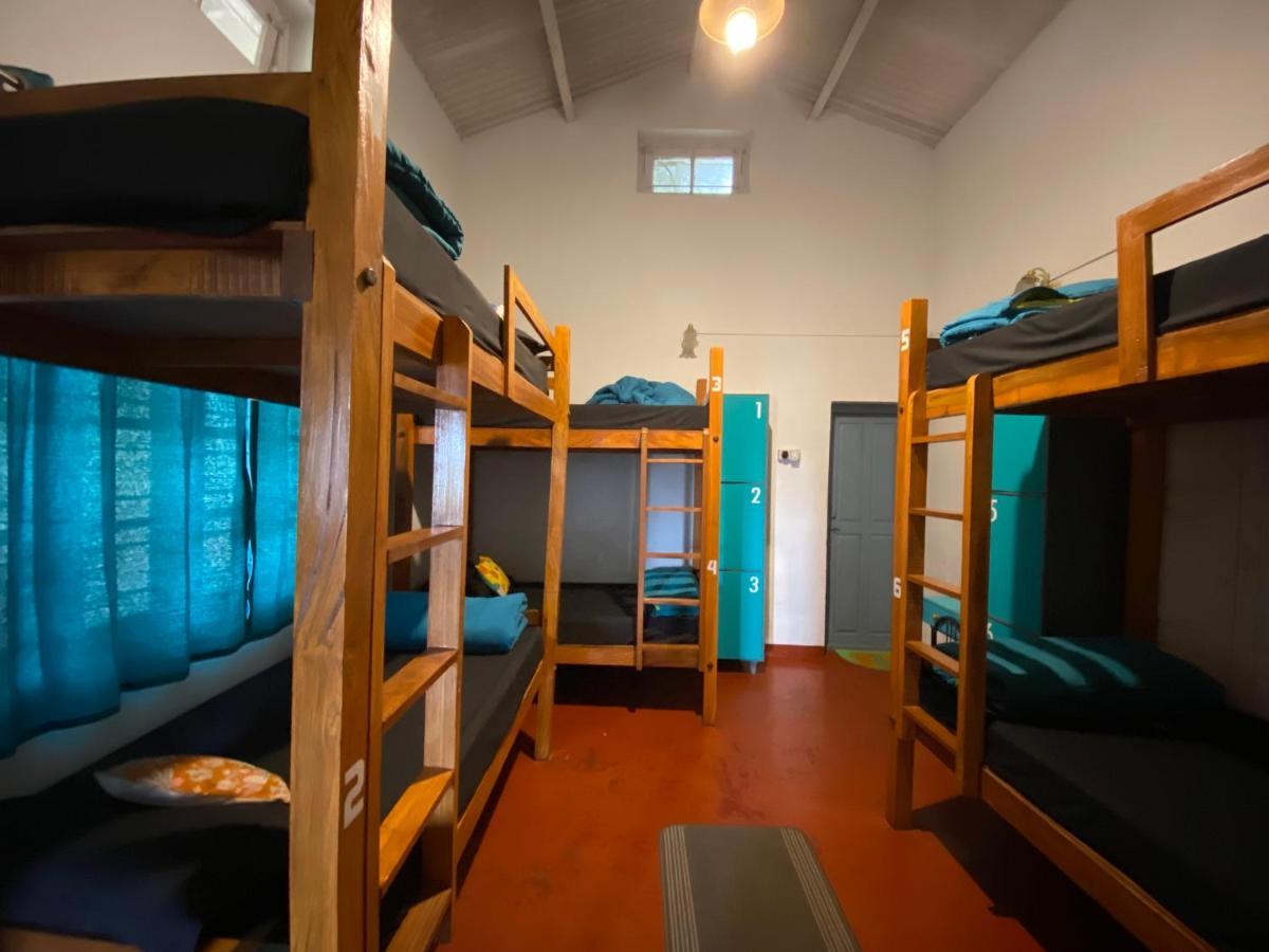 The Birdhouse Backpackers Hostel Coonoor Kültér fotó