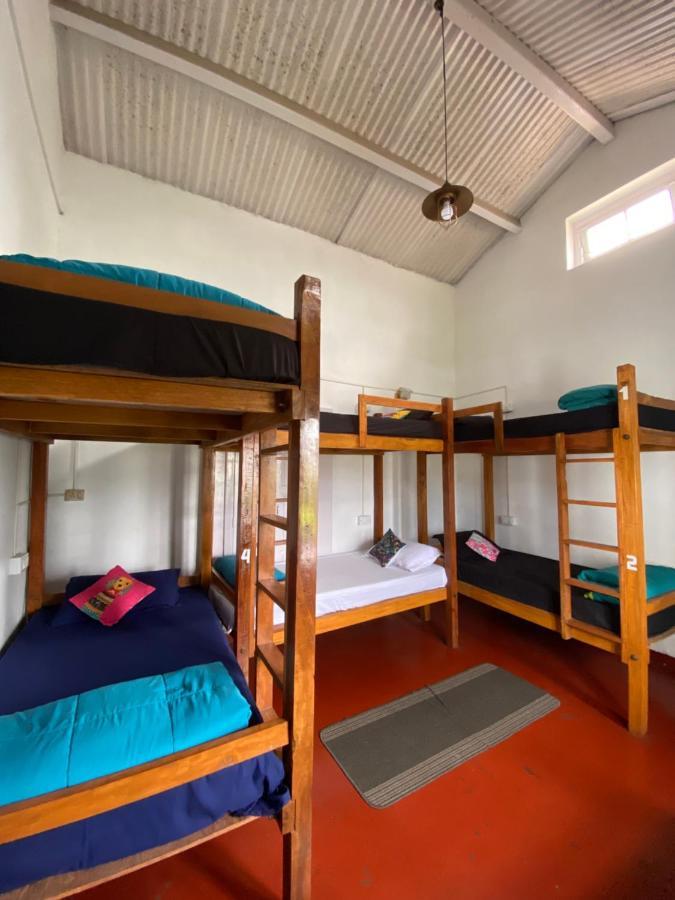 The Birdhouse Backpackers Hostel Coonoor Kültér fotó