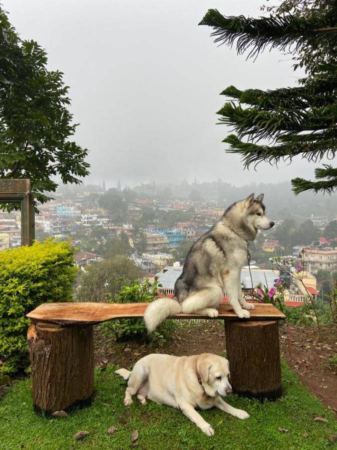 The Birdhouse Backpackers Hostel Coonoor Kültér fotó